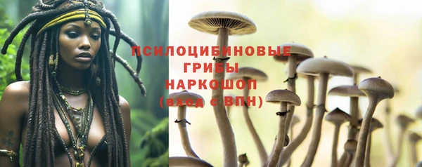 МДПВ Абдулино