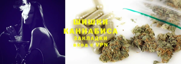 тгк Няндома